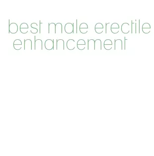 best male erectile enhancement