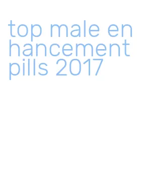 top male enhancement pills 2017