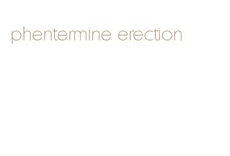 phentermine erection